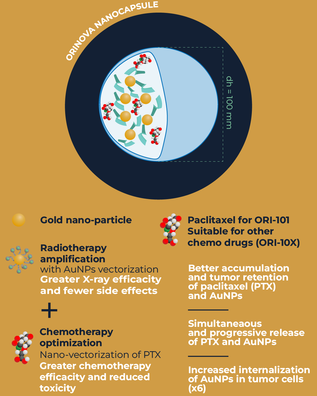 Schema - A multimodality nanoplatform (RADCHM-X) desgined for local precision cancer therapy